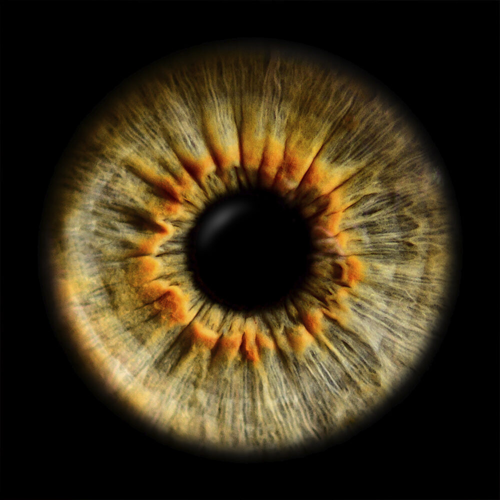 Iriswelten - Kunstwerke aus deiner Iris - Irisfotografie