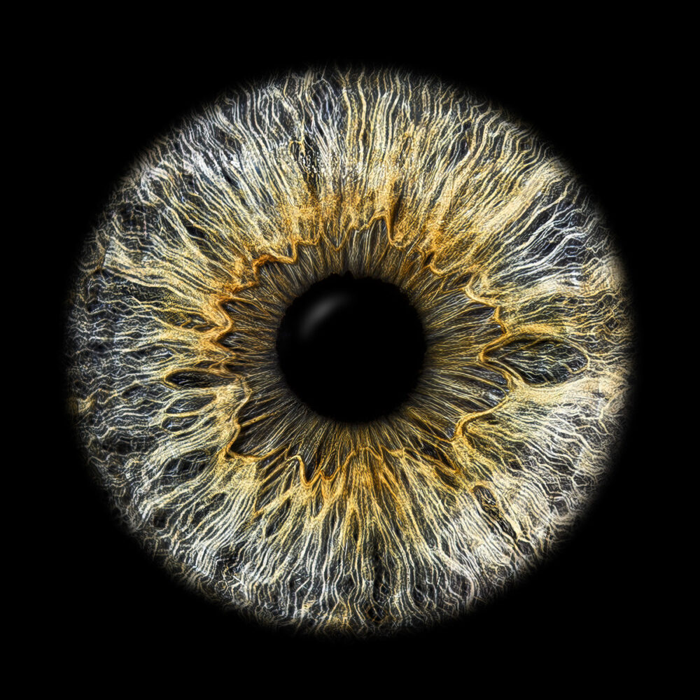 Iriswelten - Kunstwerke aus deiner Iris - Irisfotografie
