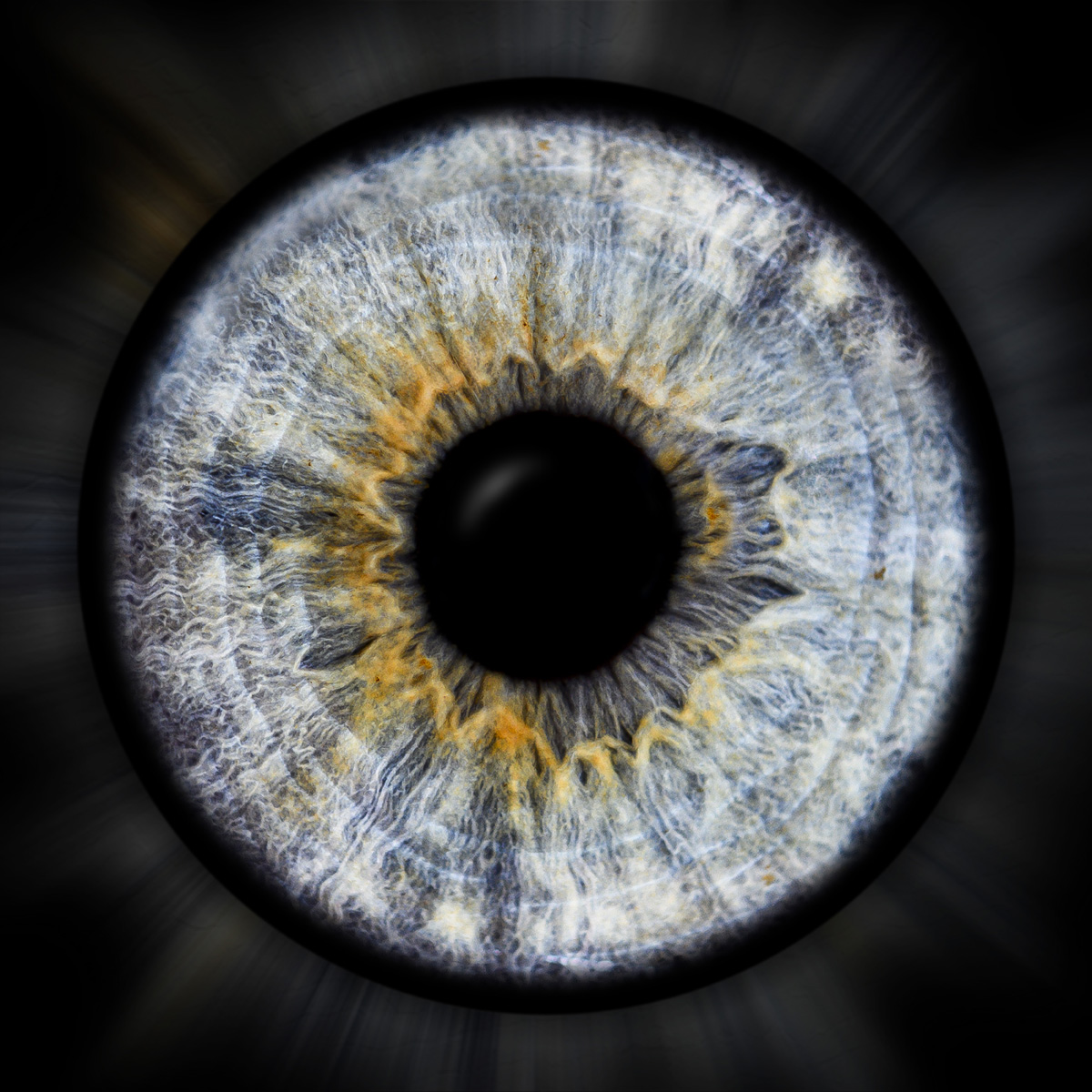 Iriswelten-Irisfoto37