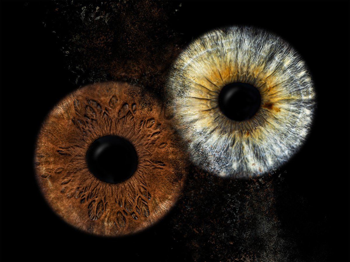 Iriswelten-Irisfoto45